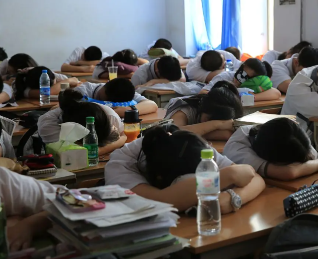 不同学段的特色设计出既契合学生认知又激起其爱好的教育内容 不同学段的特色设计出既契合学生认知又激起其爱好的教育内容